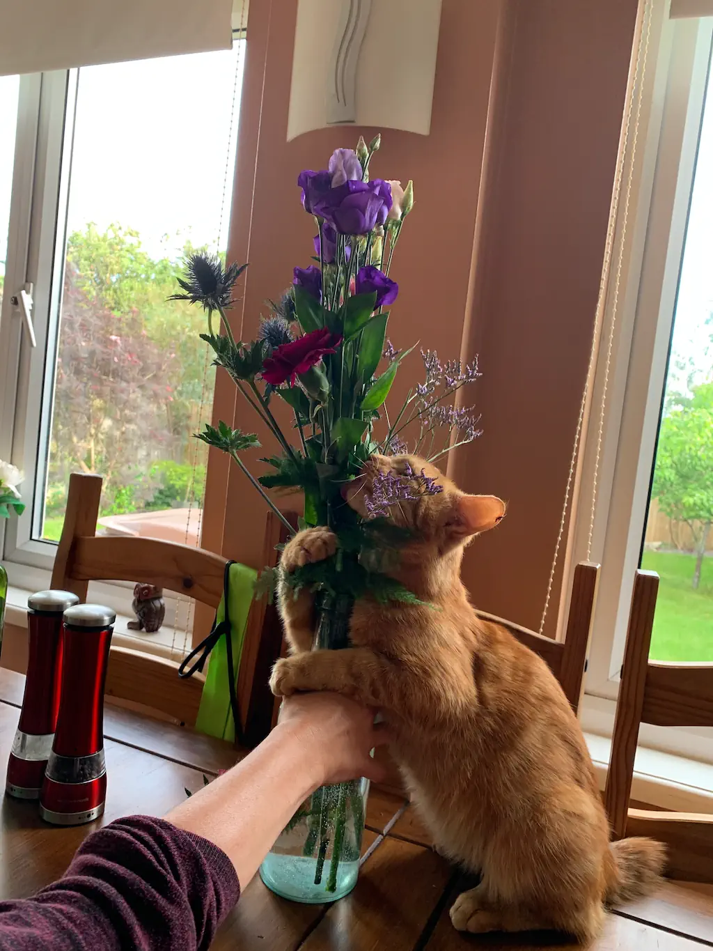 Milo loves the flowers