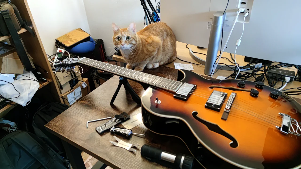 Guitar audience